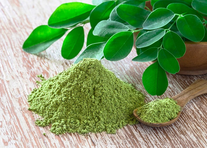 How to Use Moringa Leaves and Powder: Simple Ways to Add It to Your Diet
