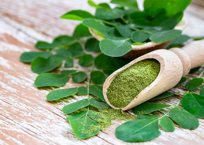 Moringa Benefits: Nutrition, Uses, and Everyday Wellness