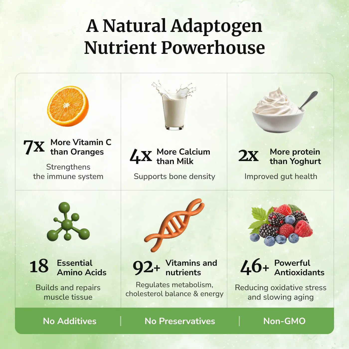 Miracle Moringa Powder