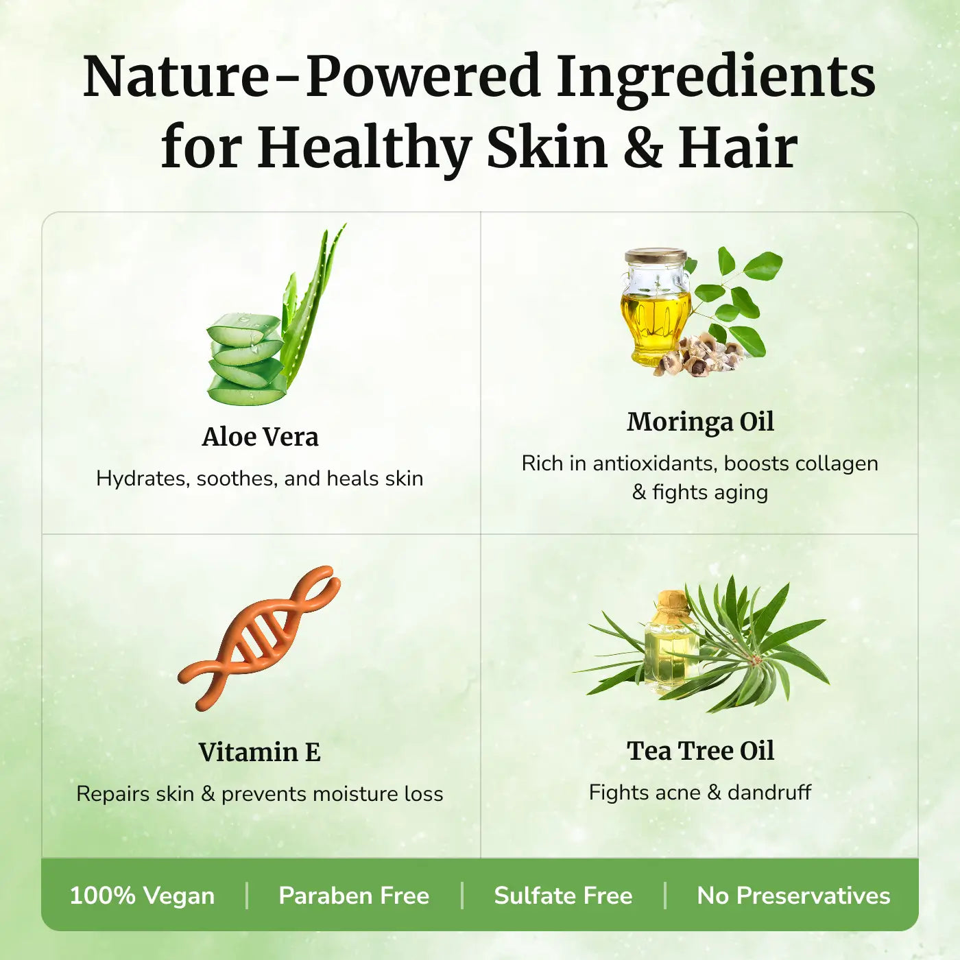 moringa aloe vera plant Aloe Moringa Gel – Daivik Moringa Store