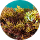 Sea Moss