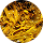 Kelp